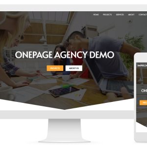 consulting website demo