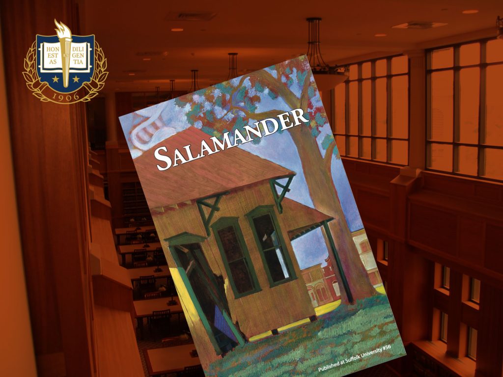 Salamander Magazine - A Subscription WordPress Website