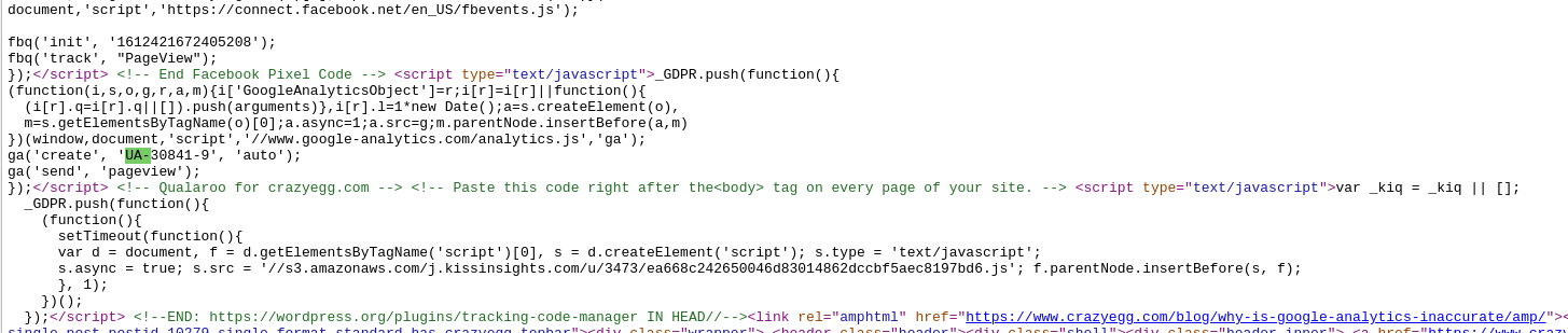 tracking code in page source