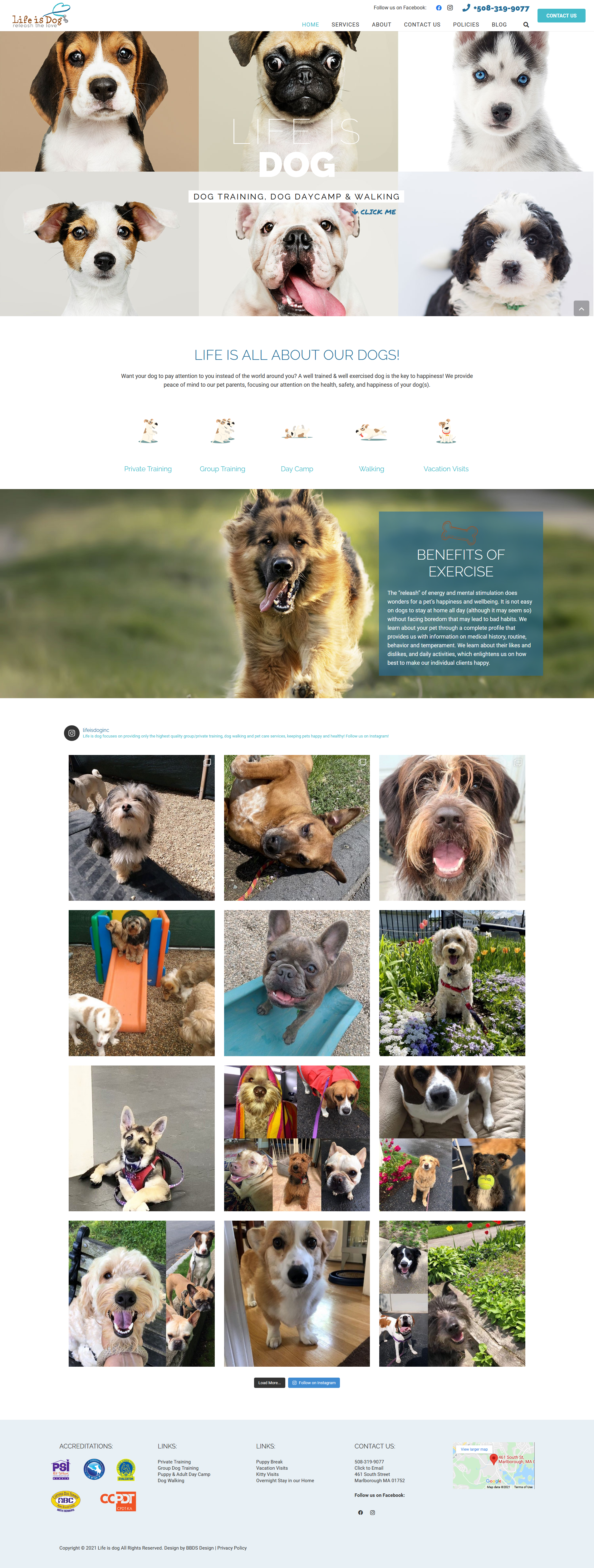  Life is Dog - Dog Training and Walking Website