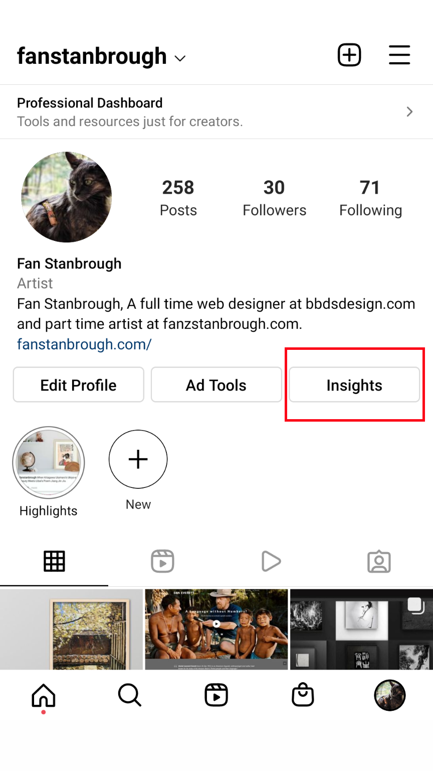 Insights button on the App